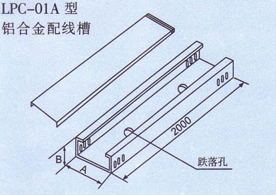 �c(di��n)���Ŵ�