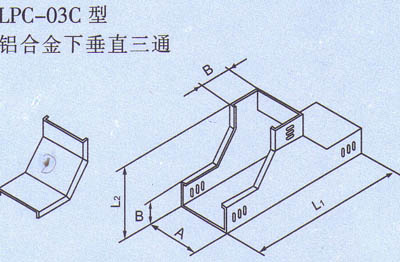 �c(di��n)���Ŵ�